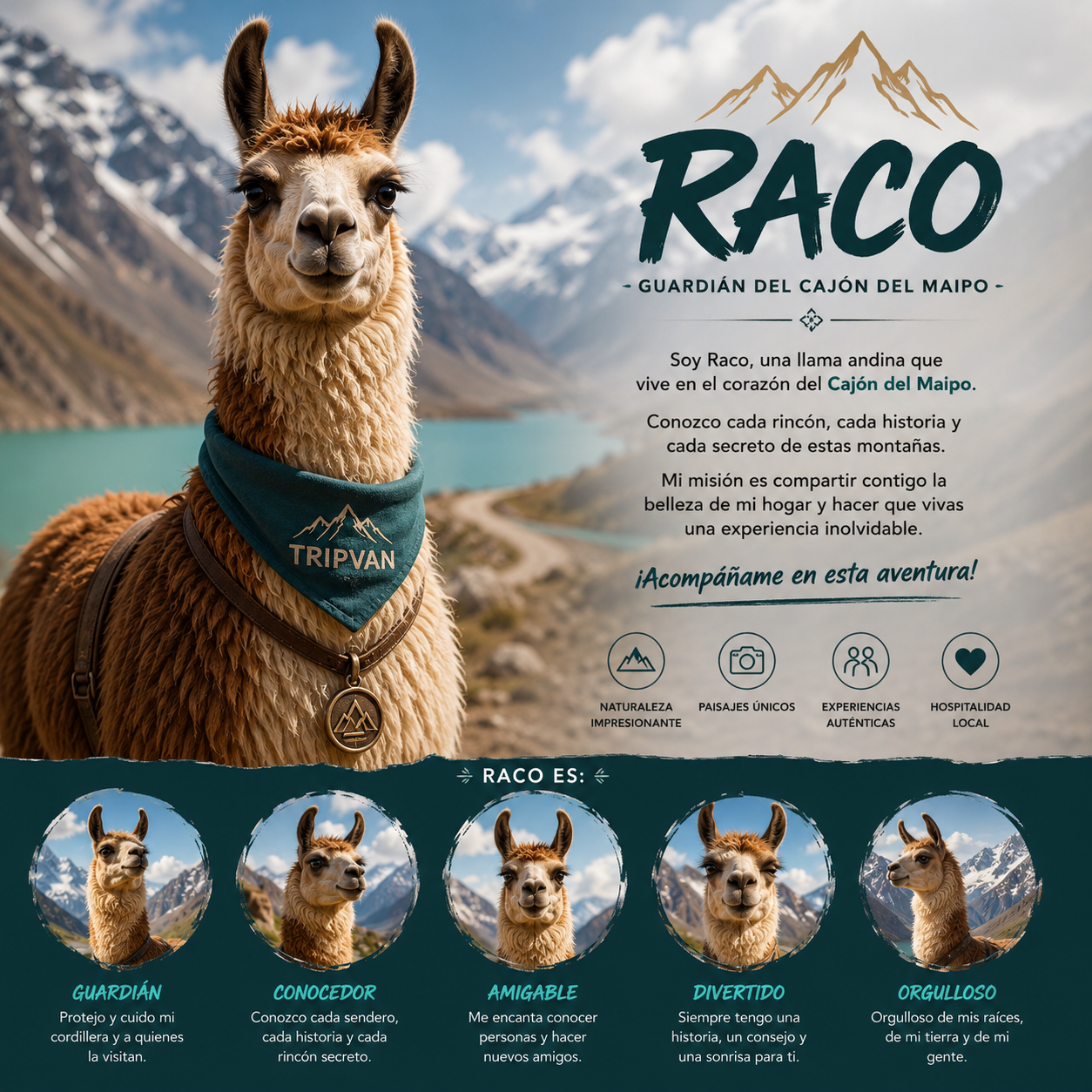 Raco, guardián del Cajón del Maipo